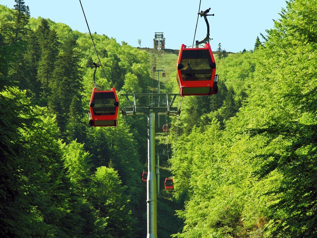 Azuga Ski & Bike Resort Exterior photo